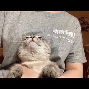 Meet your Posher, Xinyi